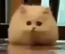 omgHi