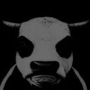 cow_despair