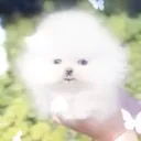 emoji_1