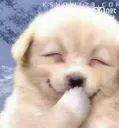 :hehe: :hehe: