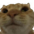 Nono