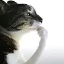 cathinking