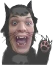 derek_cat custom emote - flockmod