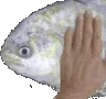 petfish