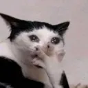 omg