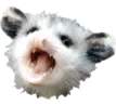 PossumReee