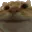 R_Nono