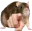 simp