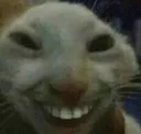 Panocha