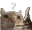 cWB_queQueri