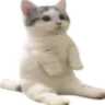 comfysit