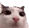 plink