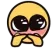 shyplead
