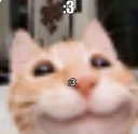hehe