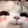 blushycat