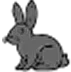 GreyBunny