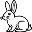 WhiteBunny