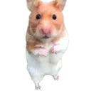 horrified_hampter