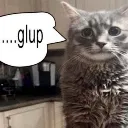 glupcat