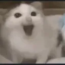 happy