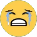 12_cry