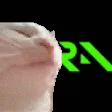 auracat