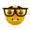 zz_nerd