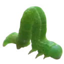 inchworm