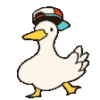 duckPls