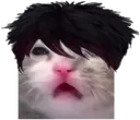 EmoDopey