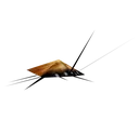 53939