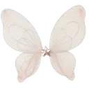 1whitebutterfl_1