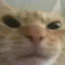 crinch crinch