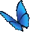bluebutterfly