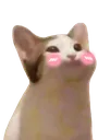 lala_popcatshy