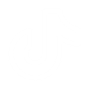 tiktok Discord emoji