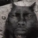 kevincat