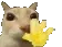 cat_wave cat_wave