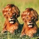 leonsreact