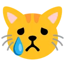 g_zsadcat g_zsadcat