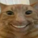 CatNaRylo