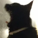 freya freya