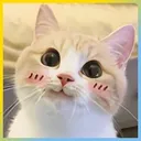 mirnaw