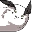 mothLong4