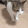 Discord Emote dlmv2_deadcat: