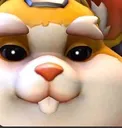 hamstare