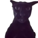 evillarry