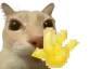 hihello