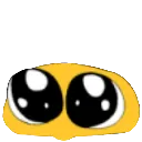 ShareLensesPls
