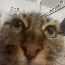 YEEUJHGEHRRGWRWGHEUE